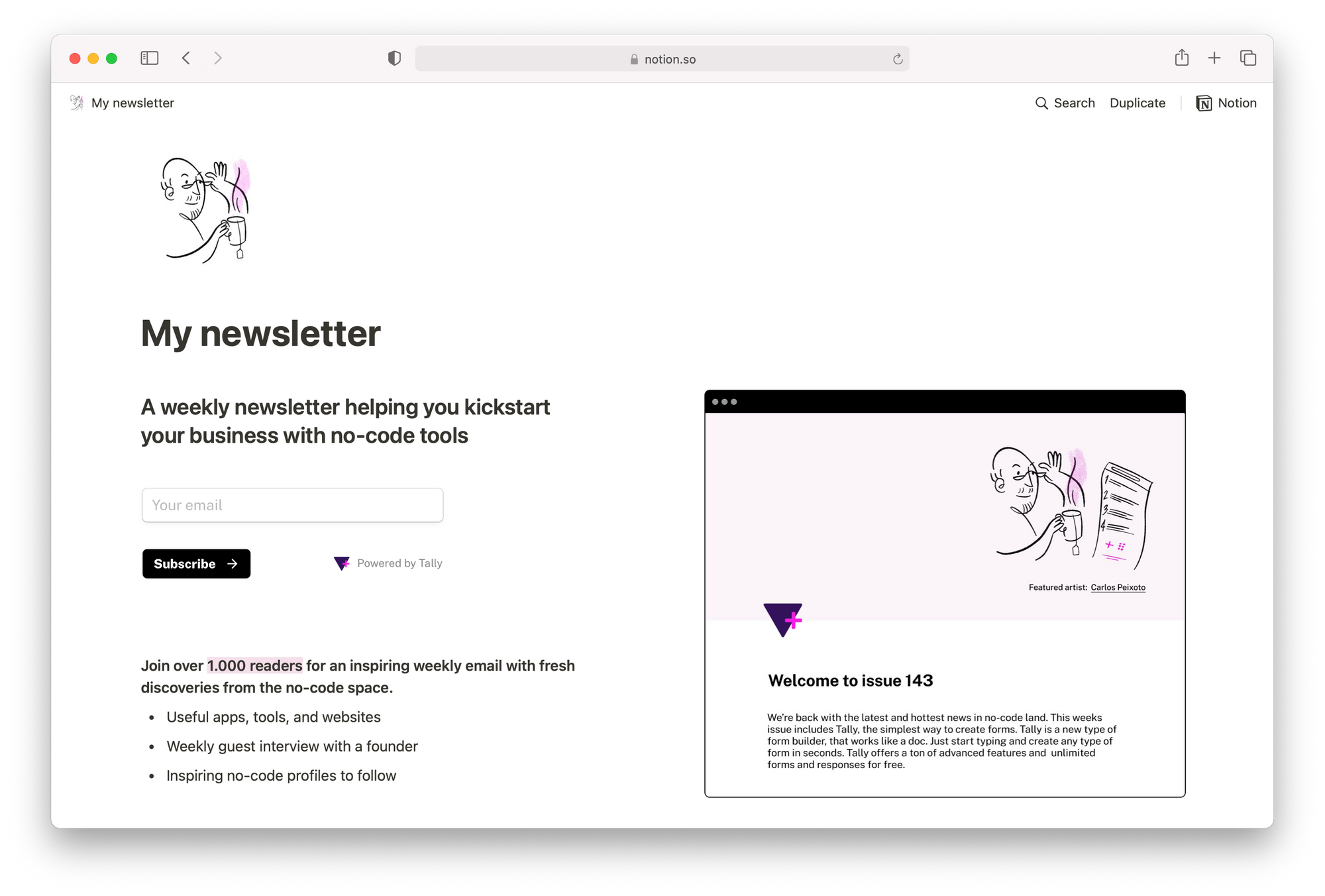 Notion newsletter template